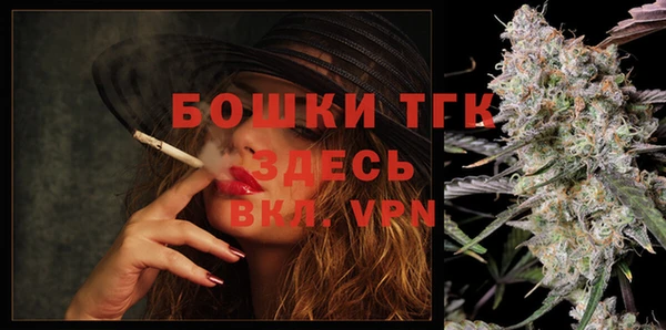 тгк Алексин