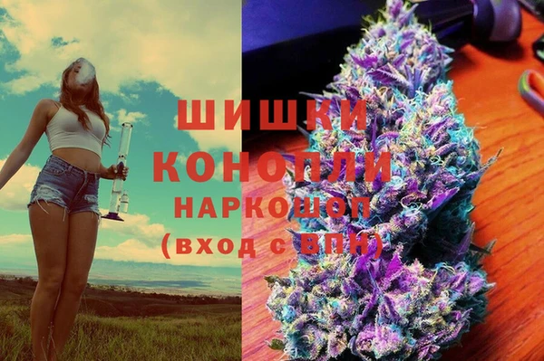 мяу мяу мука Абаза
