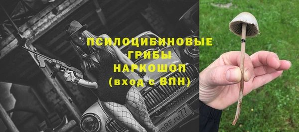 тгк Алексин